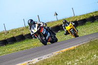 anglesey-no-limits-trackday;anglesey-photographs;anglesey-trackday-photographs;enduro-digital-images;event-digital-images;eventdigitalimages;no-limits-trackdays;peter-wileman-photography;racing-digital-images;trac-mon;trackday-digital-images;trackday-photos;ty-croes
